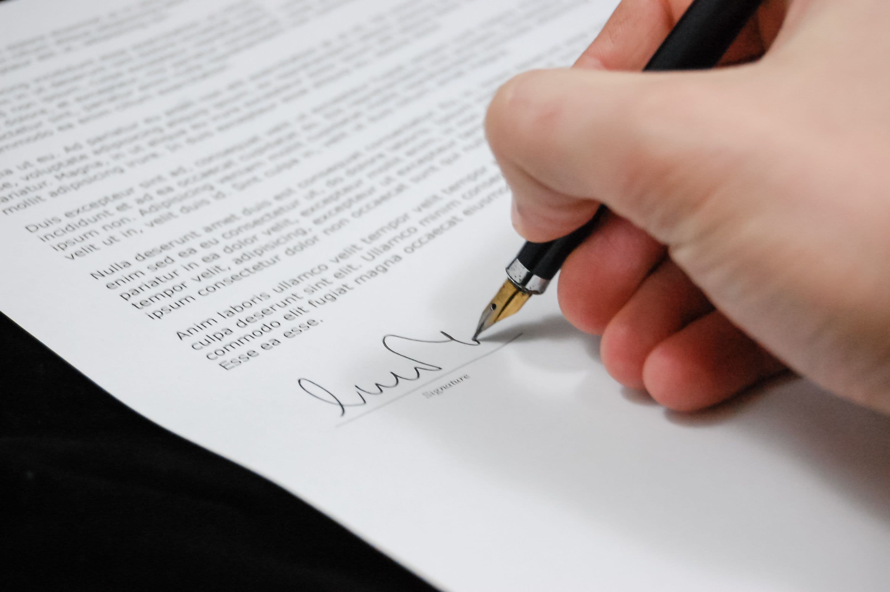 Person Reviewing Legal Document